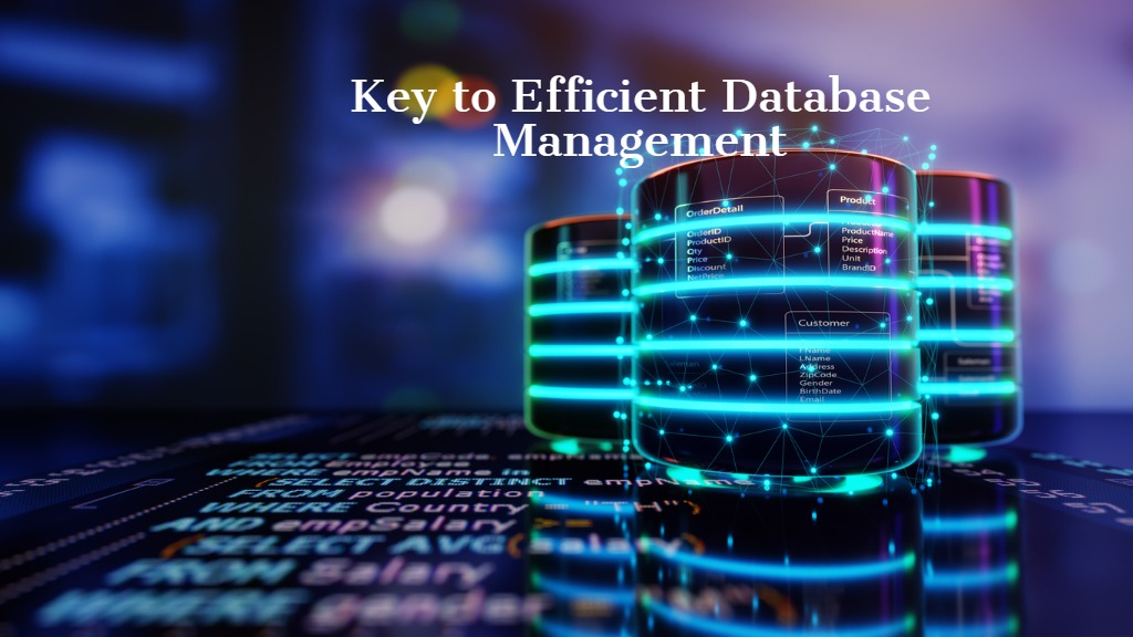 SQL Stored Procedures: Key to Efficient Database Management